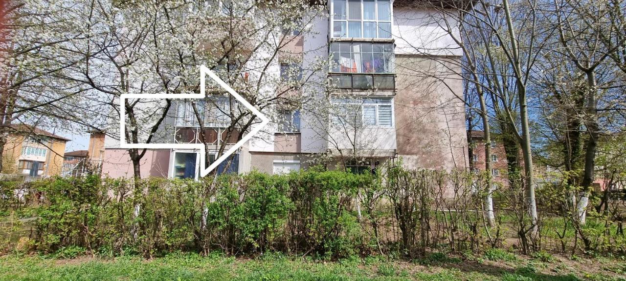 Ferienwohnung Studio Vale Hunedoara Exterior foto